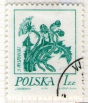 Sellos de Europa - Polonia -  10 Flora
