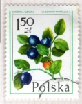 Stamps Poland -  57 Vaccinium myrtillus