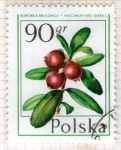 Sellos de Europa - Polonia -  89 Vacinnium vitis