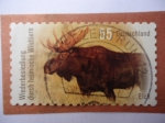 Stamps Germany -  Elch