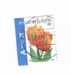 Stamps Belgium -  Tulipán