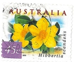 Stamps : Oceania : Australia :  Hibbertia scandens. Flores amarillas