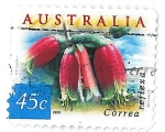Stamps : Oceania : Australia :  Correa reflexa. Flores rojas