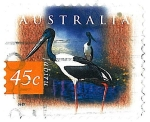 Stamps : Oceania : Australia :  Jabiru