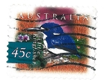 Sellos de Oceania - Australia -  Little Kingfisher