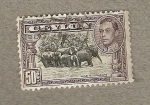 Stamps Asia - Sri Lanka -  Elefantes