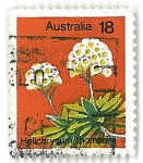 Sellos de Oceania - Australia -  Helichrysum thomson