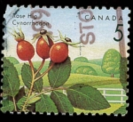 Stamps Canada -  Rose Hip