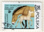 Stamps Poland -  172 Zoo Warszawa