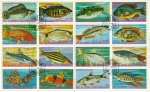 Sellos de Africa - Guinea Ecuatorial -  Peces Exóticos