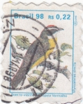 Stamps Brazil -  MYLOZETETES SIMILIS