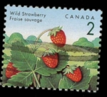 Sellos de America - Canad� -  wild strawberry