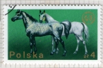Stamps Poland -  235 Ganaderia