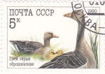 Stamps Russia -  PATOS