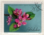 Stamps Poland -  249 Flora