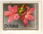 Sellos de Europa - Polonia -  250 Flora