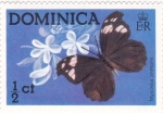 Stamps : America : Dominica :  MYSCELIA ANTHOLIA-MARIPOSA