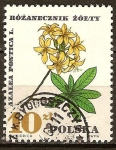 Stamps Poland -   Azalea Pontica.