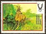 Stamps Poland -  Congreso Internacional de Caza y el Consejo de 50 Aniv de la Asociación Polaca de Caza (Corzo).