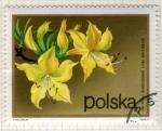 Stamps Poland -  256 Flora