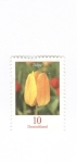 Stamps Germany -  Tulipan