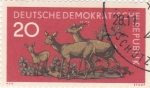 Stamps Germany -  FAMILIA DE CIERVOS