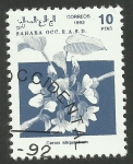 Stamps Morocco -  Flora