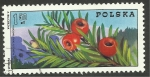 Stamps : Europe : Poland :  2211 - Rama sobre fondo de las montañas de Sudetes