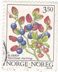 Sellos de Europa - Noruega -  VACCINIUM MYRTILLUS