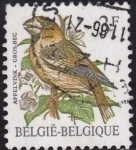 Stamps Belgium -  