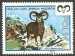 Stamps Poland -  2092 - Muflon