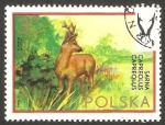 Stamps Poland -  2095 - fauna, un ciervo