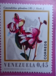 Stamps Venezuela -  Cavendishia splendens (Kl) Hook. F