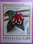 Stamps Venezuela -  Macleania nitida (H..K.) Hier.