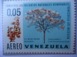 Stamps Venezuela -  Conserve los Recursos Naturales Renovables,Venezuela los necesita-¨El Mari-Mari Rosado¨ Csesalpiniac