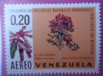 Stamps Venezuela -  Conserve los Recursos Naturaleas Renovables,Venezuela los necesita-¨El Palomo María¨-Polygonaceae