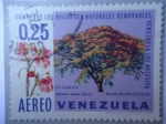 Sellos de America - Venezuela -  Conserve los Recursos Naturales Renovables,Venezuela los necesita-¨El Samán¨Merrill Mimosaceae.