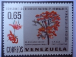 Stamps Venezuela -  Conserve los Recursos Naturaleas Renovables,Venezuela los necesita-¨El Bucare Ceibo¨Papilionatae- O.