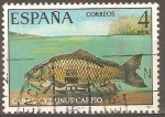 Stamps Spain -  CARPA  CYPRINUS  CARPIO