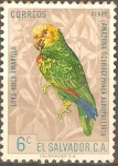 Stamps America - El Salvador -  LORA  NUCA  AMARILLA