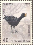 Stamps : America : El_Salvador :  PAUJIL
