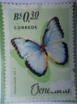 Stamps Venezuela -  Morph Peleides Kol