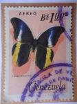 Stamps Venezuela -  Caligo Atreus Kolt