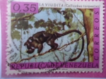 Stamps Venezuela -  La Viudita- Callicebus Torquatus