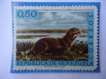 Stamps Venezuela -  El Perro de Agua ó NUTRIA- Pteronura brasiliensis