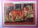 Sellos de America - Venezuela -  El Puma- Felis concolor