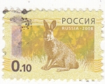 Stamps Russia -  Conejo
