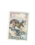 Stamps : Europe : Spain :  Edifil 2.104.Lobo-Canis Lupus