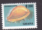 Sellos de Africa - Ghana -  Caracola