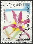 Stamps Afghanistan -  Flor